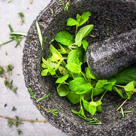 Fresh organic mint in concrete pestle or mortar